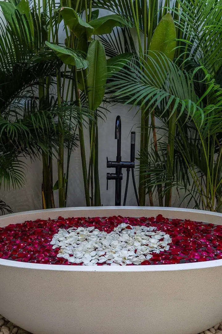 Four Bedroom Garden Bathtub Villa, photo 2 of 16