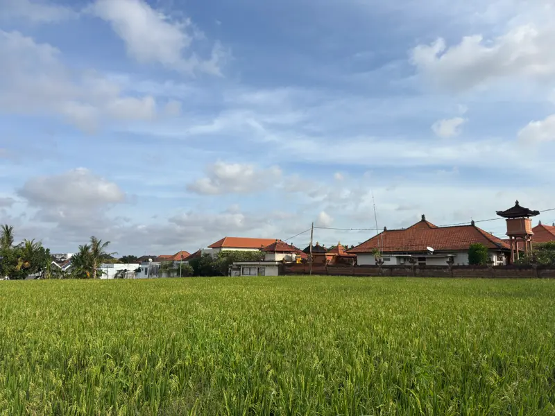 A rice field with Balinese roofs behind it in Padonan